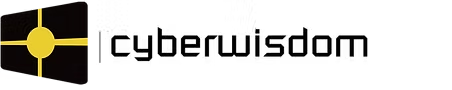 Cyberwisdom